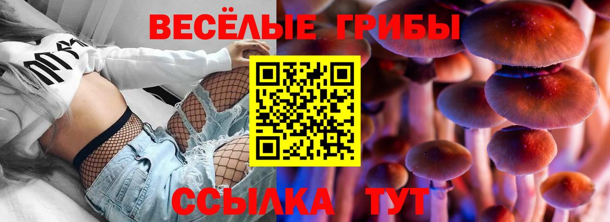 Галлюциногенные грибы GOLDEN TEACHER  Вход с VPN  Апрелевка 